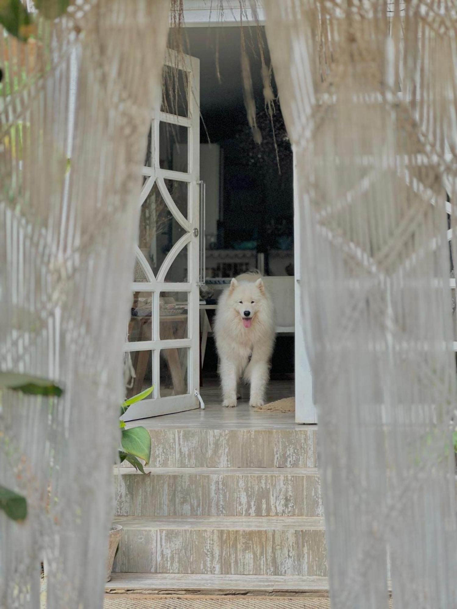 Hotel Casa Luz - Fernando De Noronha Zewnętrze zdjęcie